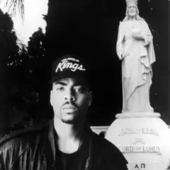 The D.O.C.